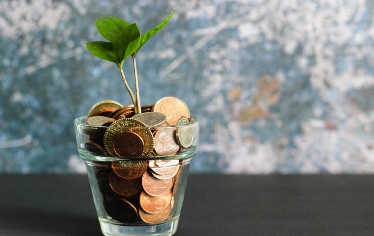 Raising finance concept coins growing in a plant pot
