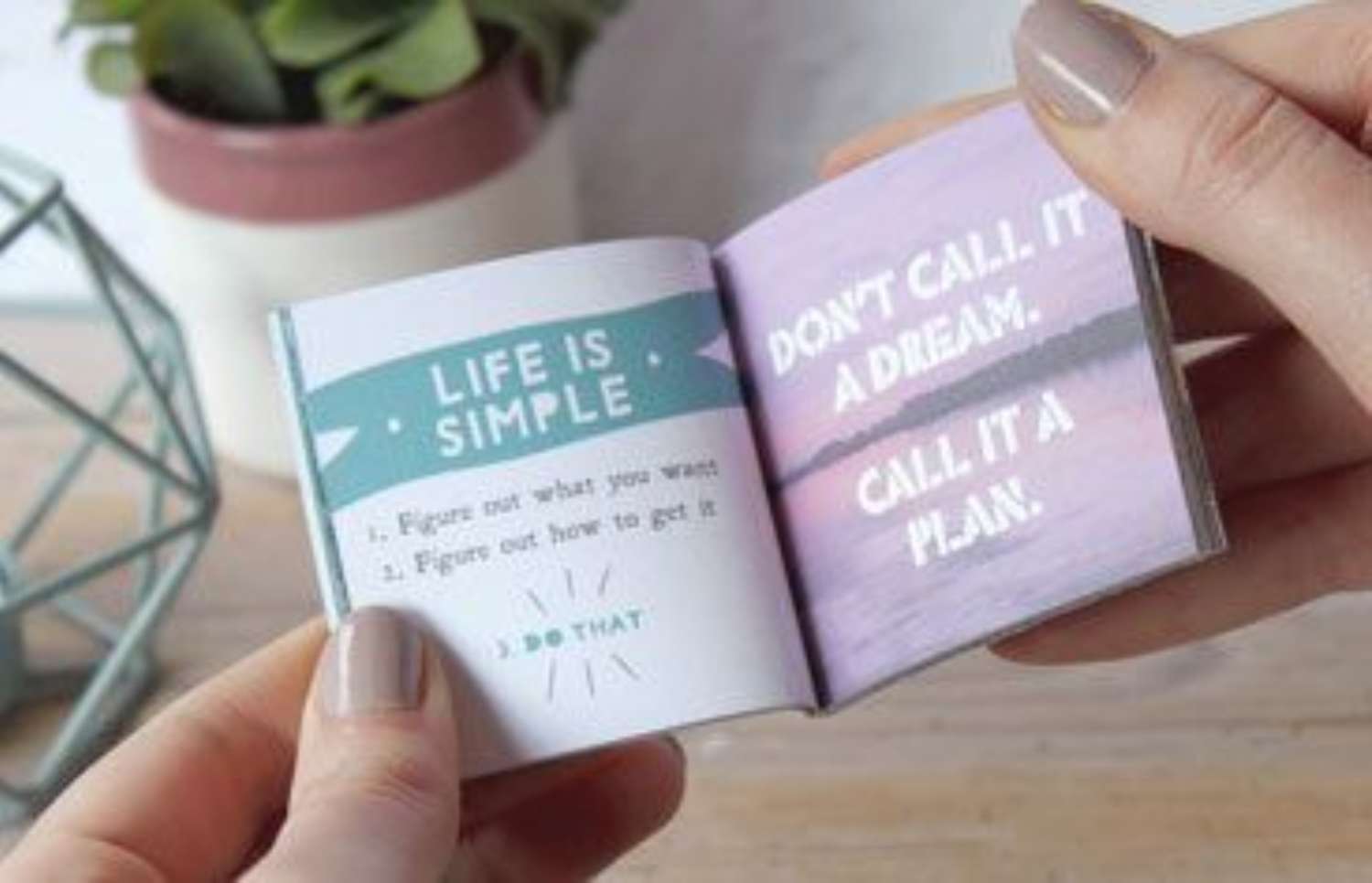 Itty Bitty books Elevate 367 x 236