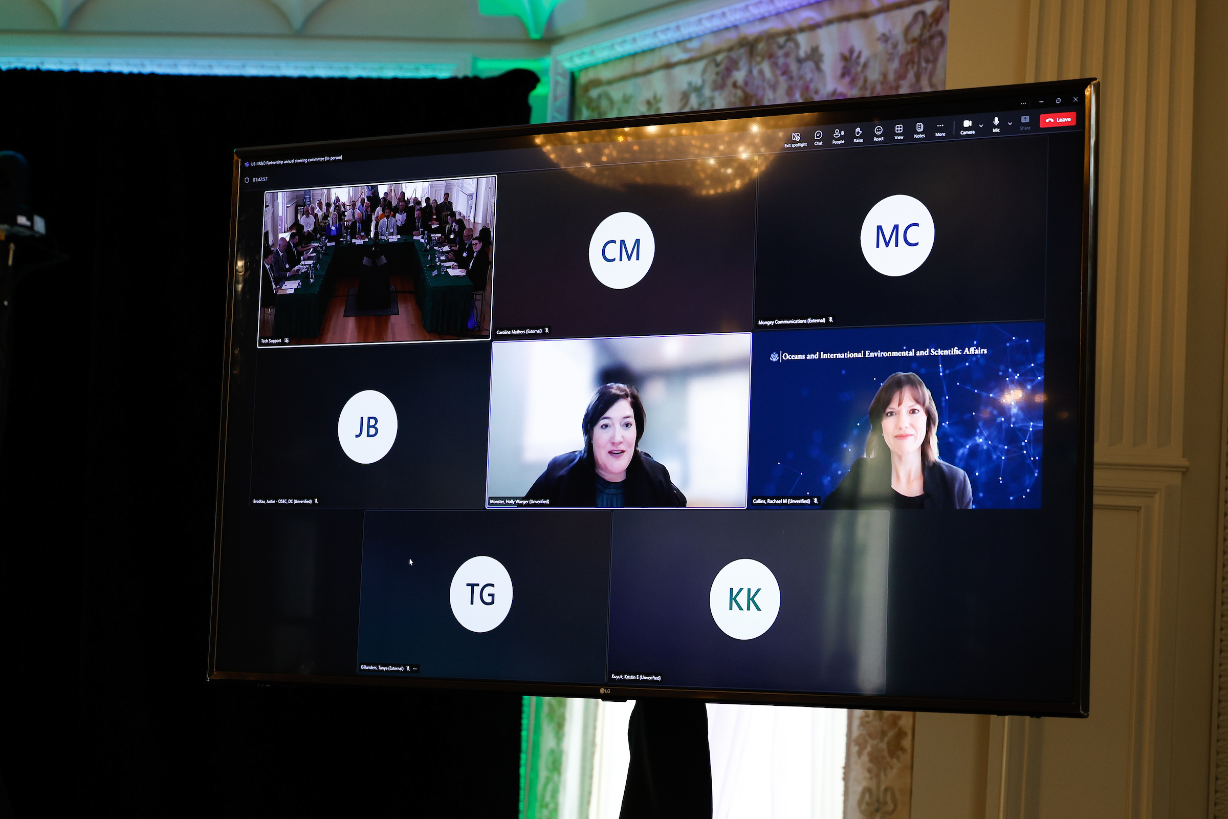 Steering committee members and secretariat virtual attendees