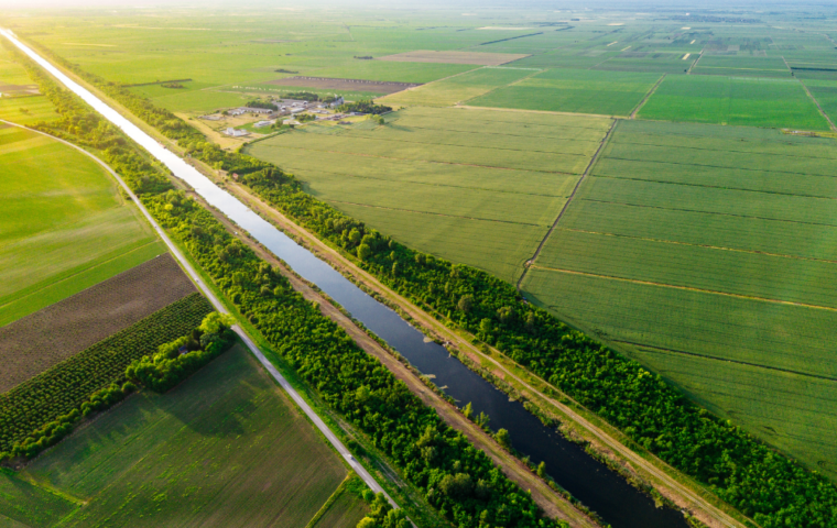 Natural resources for sustainable bio economy