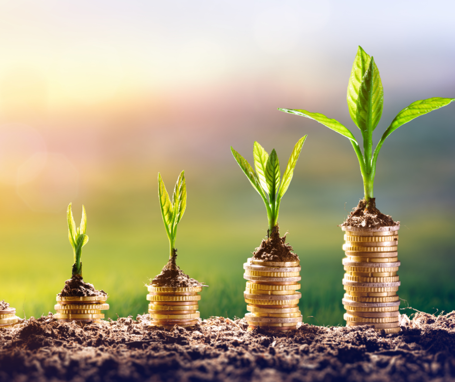 Invest in your own success