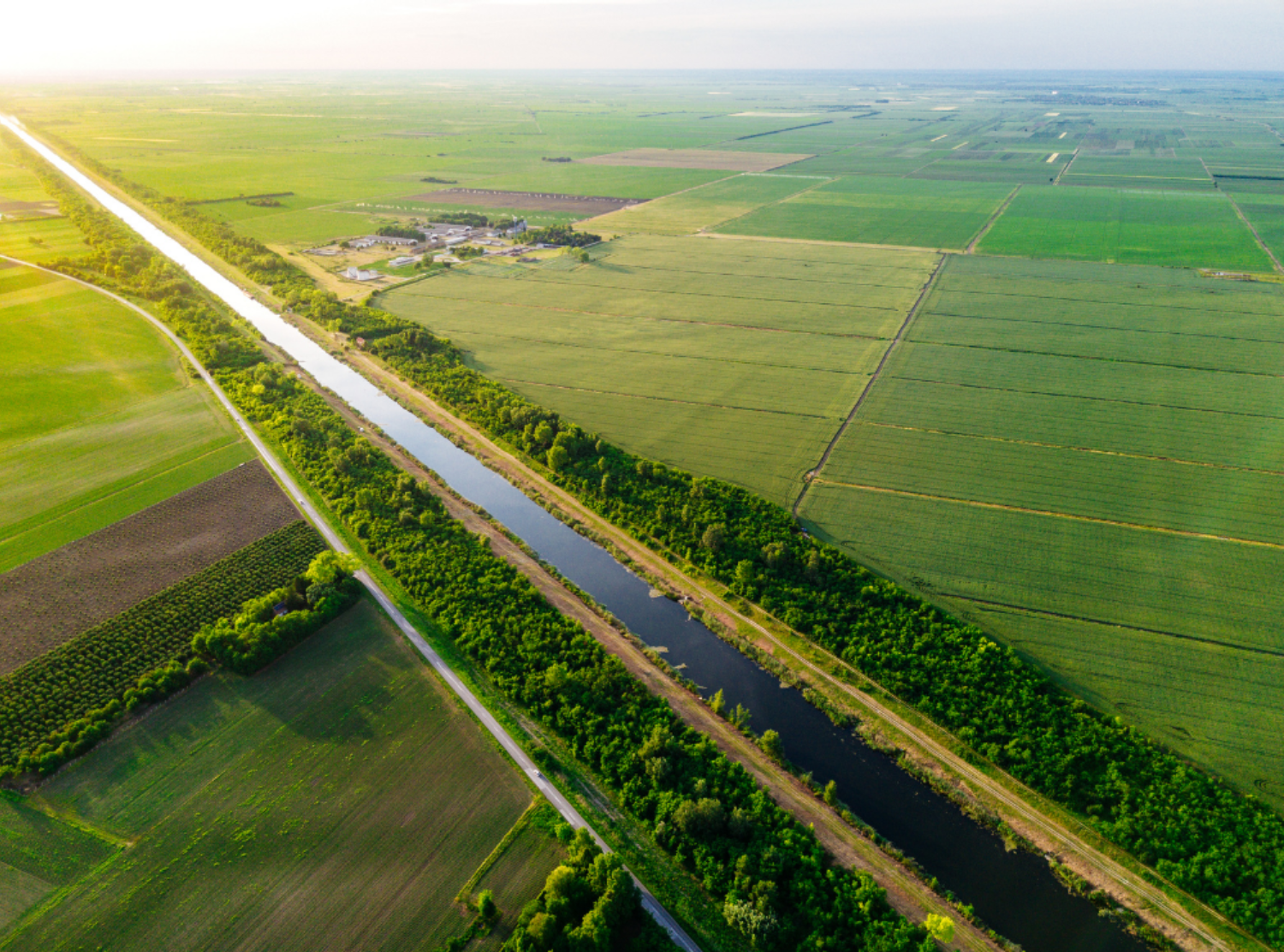 Natural resources for sustainable bio economy