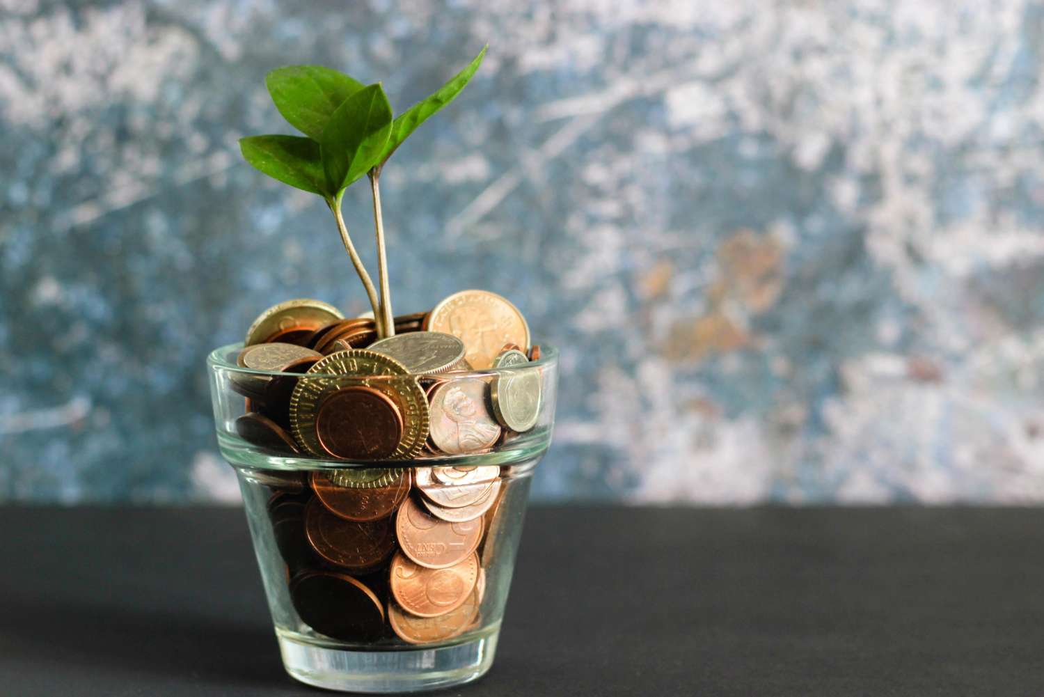 Raising finance concept coins growing in a plant pot