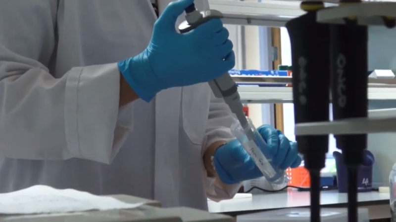 Inter Trade Ireland FP7 Case Study Video FAST PATH 1 14 screenshot