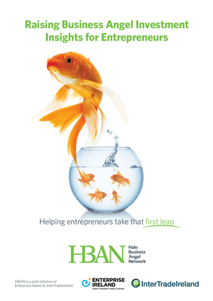 Business Angel Guide for Entrepreneurs